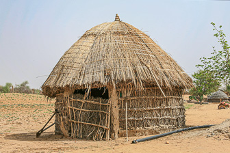 20100404_Campaign_Rat_Temple_0354.jpg
