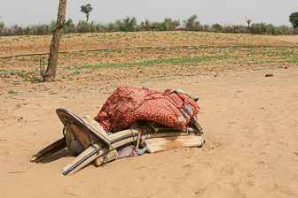 20100404_Campaign_Rat_Temple_0359.jpg