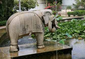 20100409_Udaipur_Pichola-Lake_Jojowar_1909.jpg