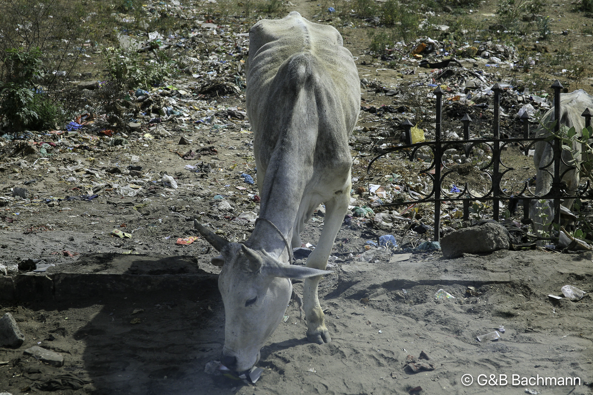 20100403_Dehli_0147.jpg