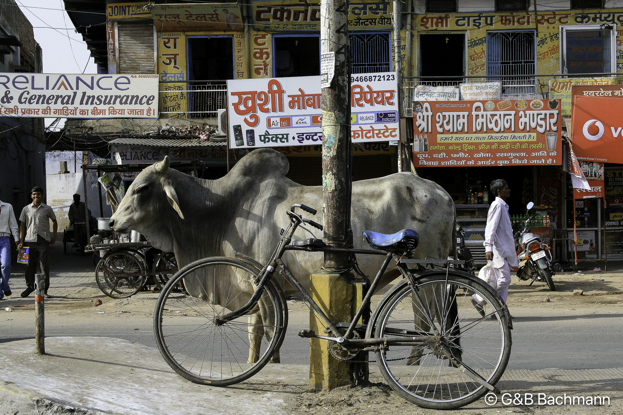 20100403_Dehli_0198.jpg