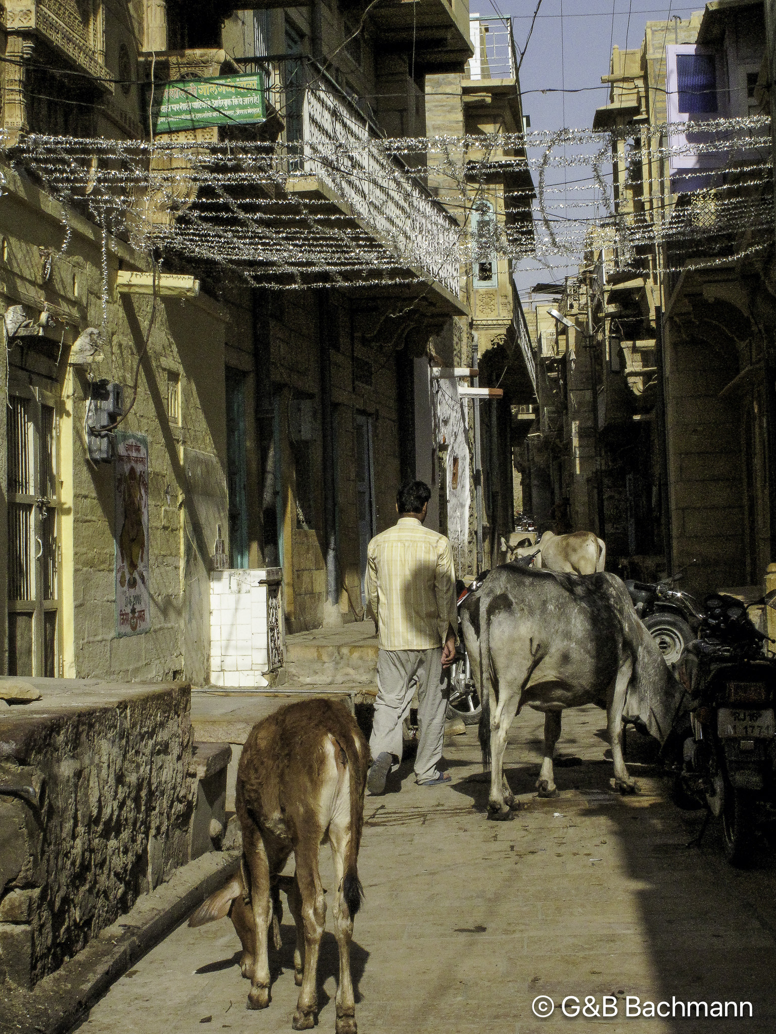 20100406_Jaisalmer_0763.jpg