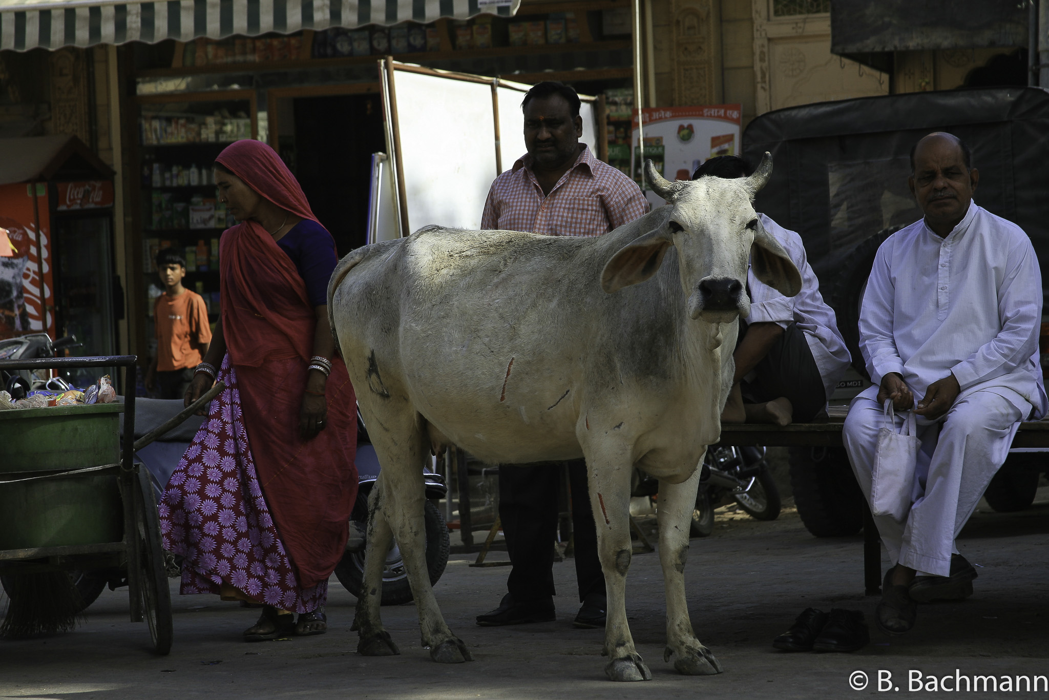 20100406_Jaisalmer_0850.jpg