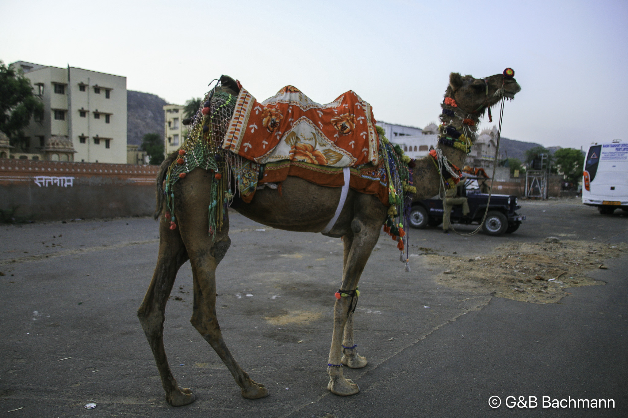 20100411_Jaipur_Fort-Amber_2401.jpg
