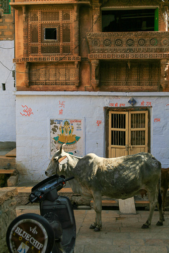 20100406_Jaisalmer_0855.jpg