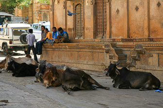 20100406_Jaisalmer_0883.jpg