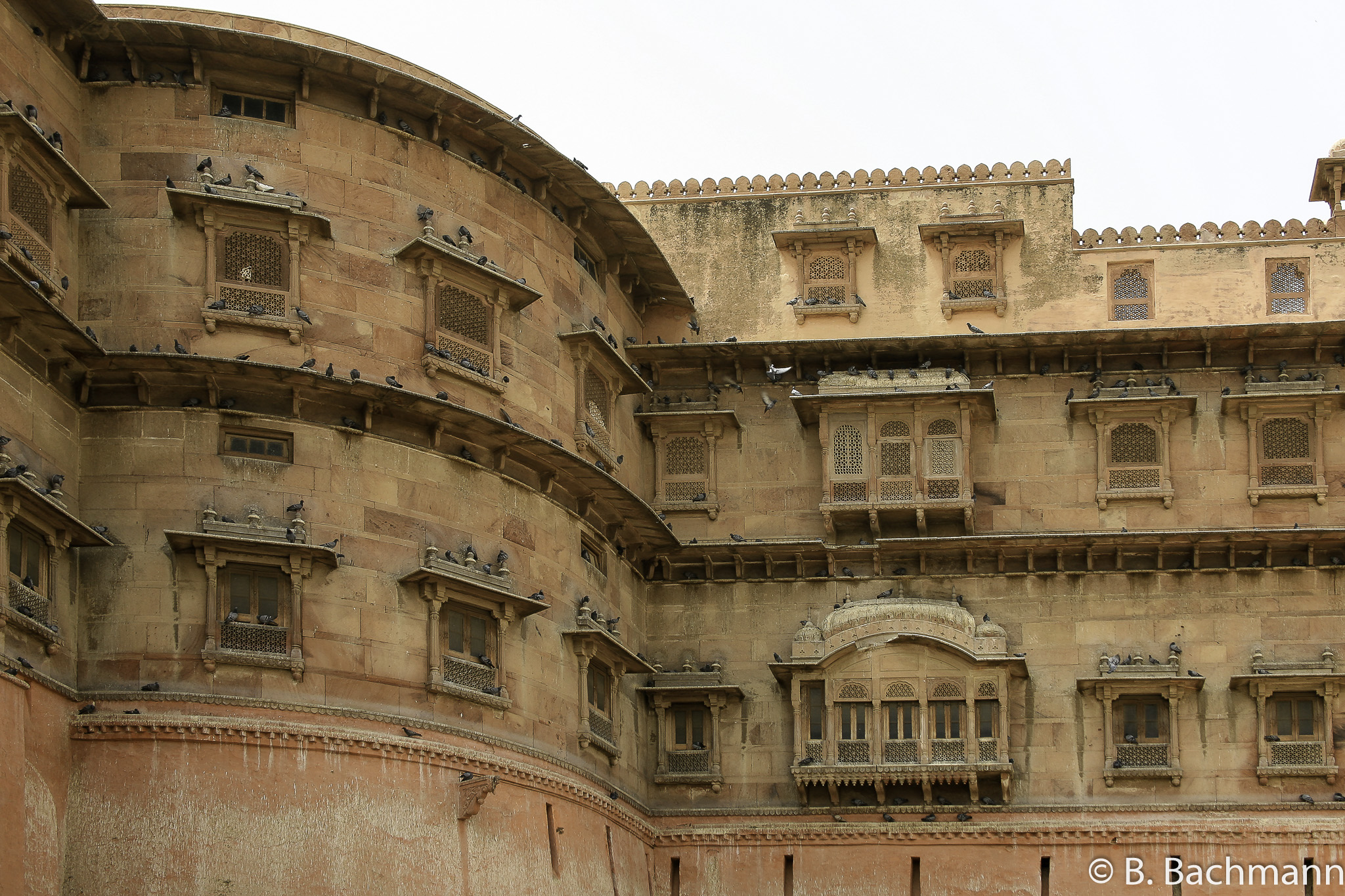 20100404_Bikaner_0243-Edit.jpg