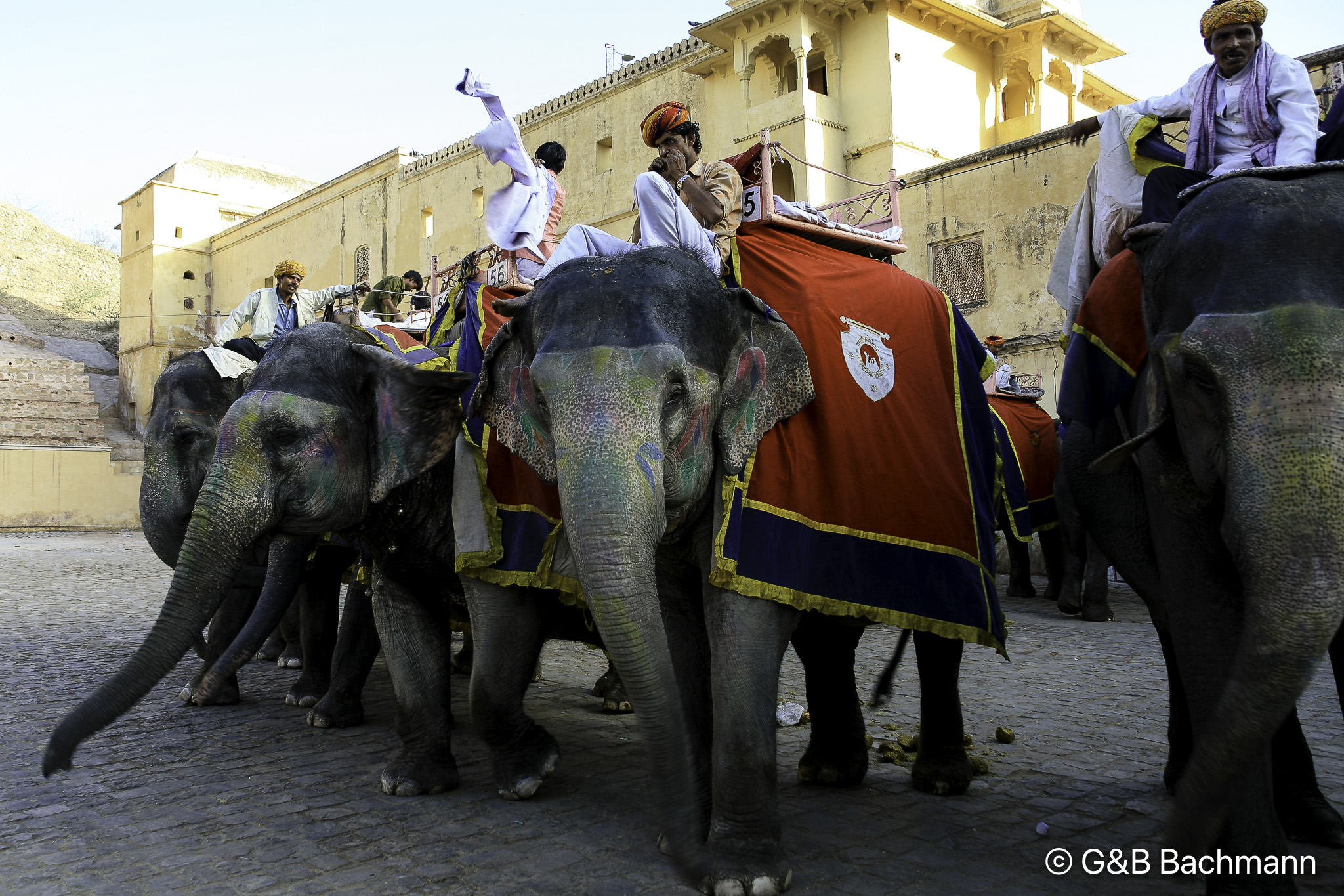 20100424_Jaipur_Fort-Amber_2294.jpg