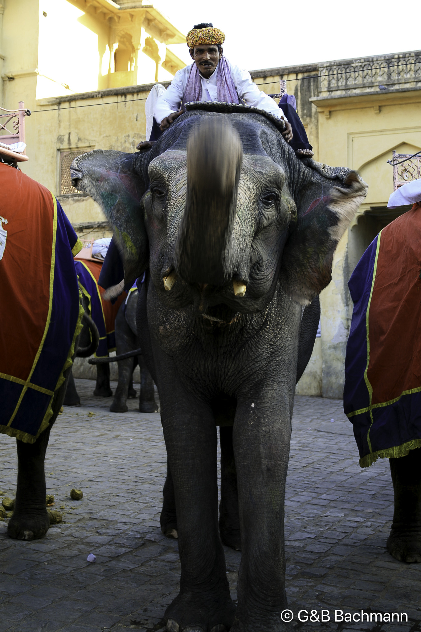 20100424_Jaipur_Fort-Amber_2295.jpg