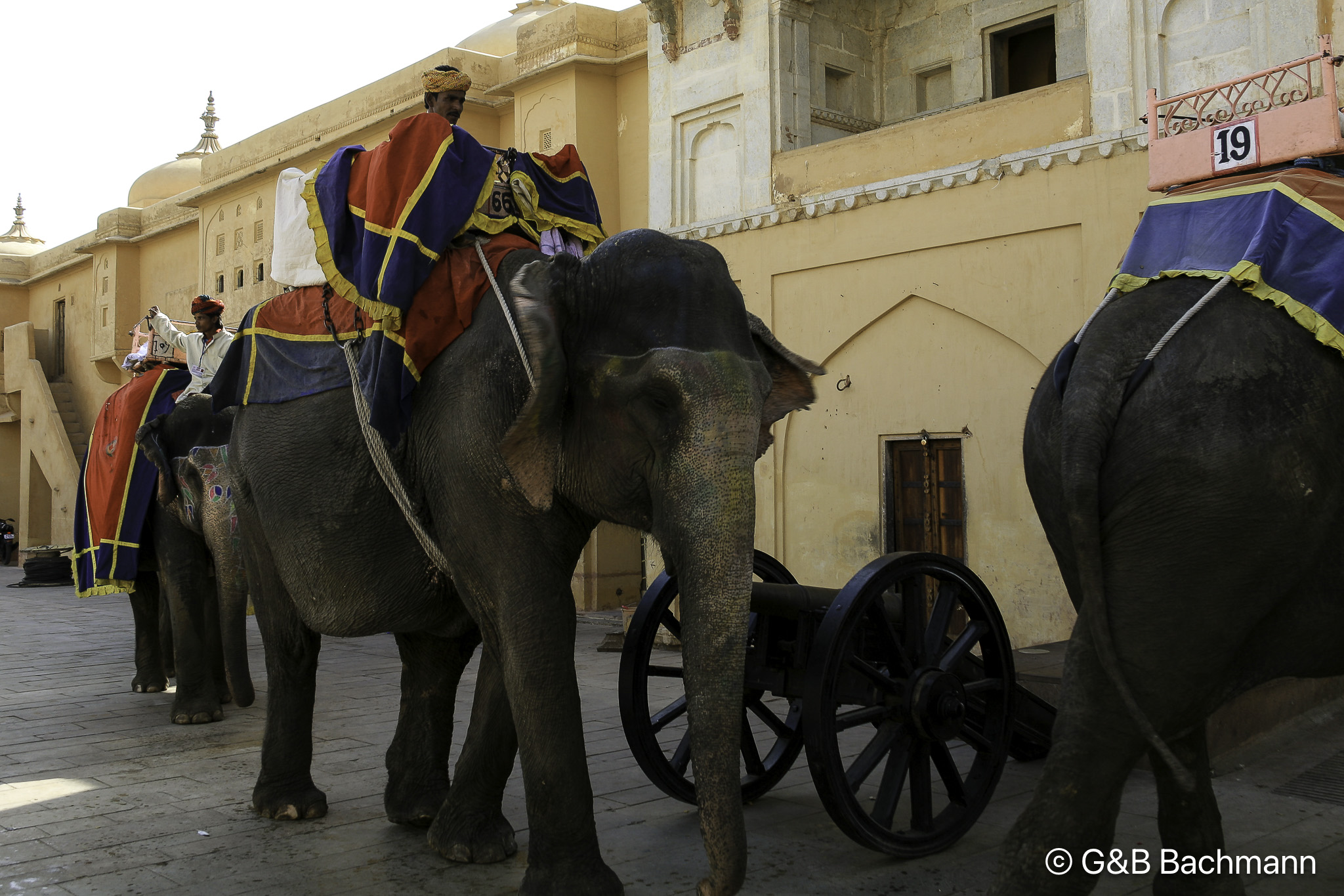 20100424_Jaipur_Fort-Amber_2384.jpg