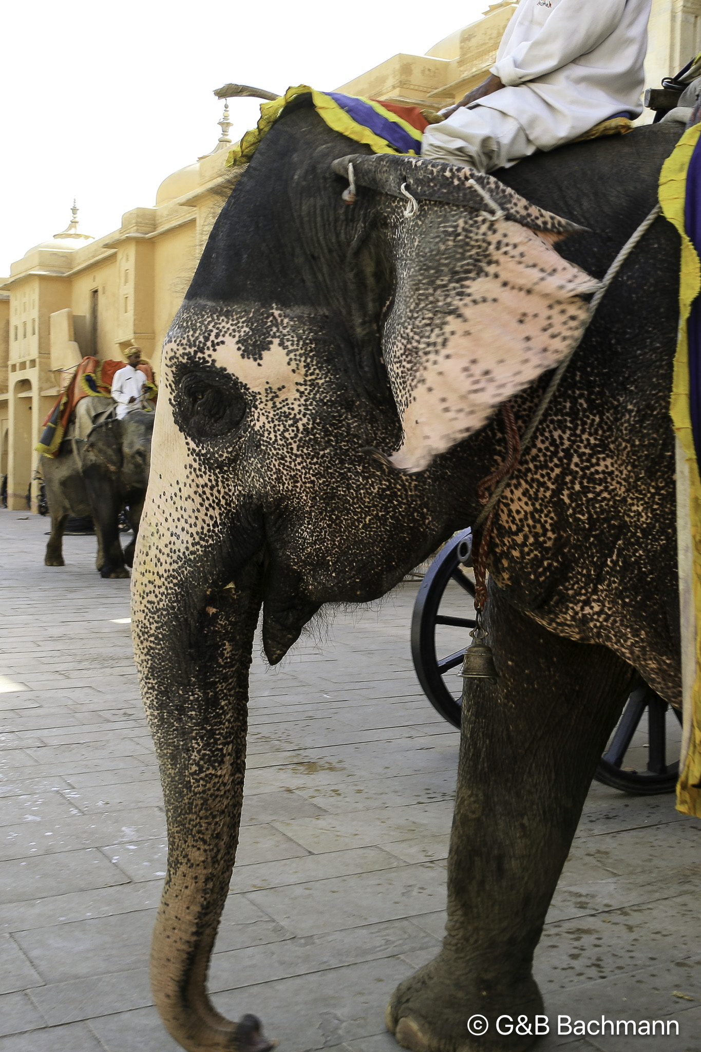 20100424_Jaipur_Fort-Amber_2386.jpg