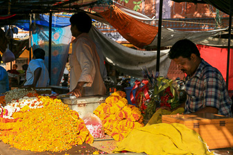 20100410_Jaipur_2121.jpg