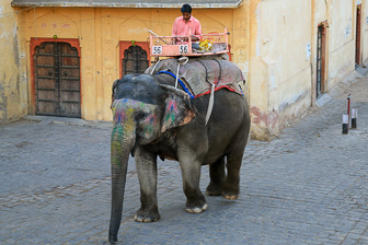 20100424_Jaipur_Fort-Amber_2280.jpg