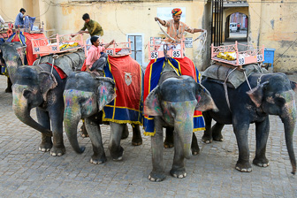 20100424_Jaipur_Fort-Amber_2287.jpg