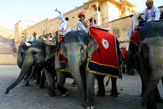 20100424_Jaipur_Fort-Amber_2294.jpg