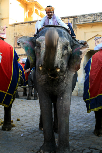 20100424_Jaipur_Fort-Amber_2295.jpg