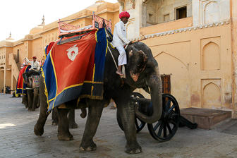 20100424_Jaipur_Fort-Amber_2383.jpg