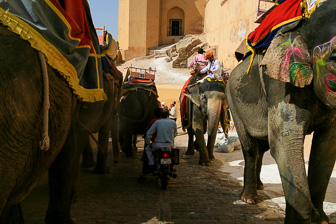 Jaipur Jaipur