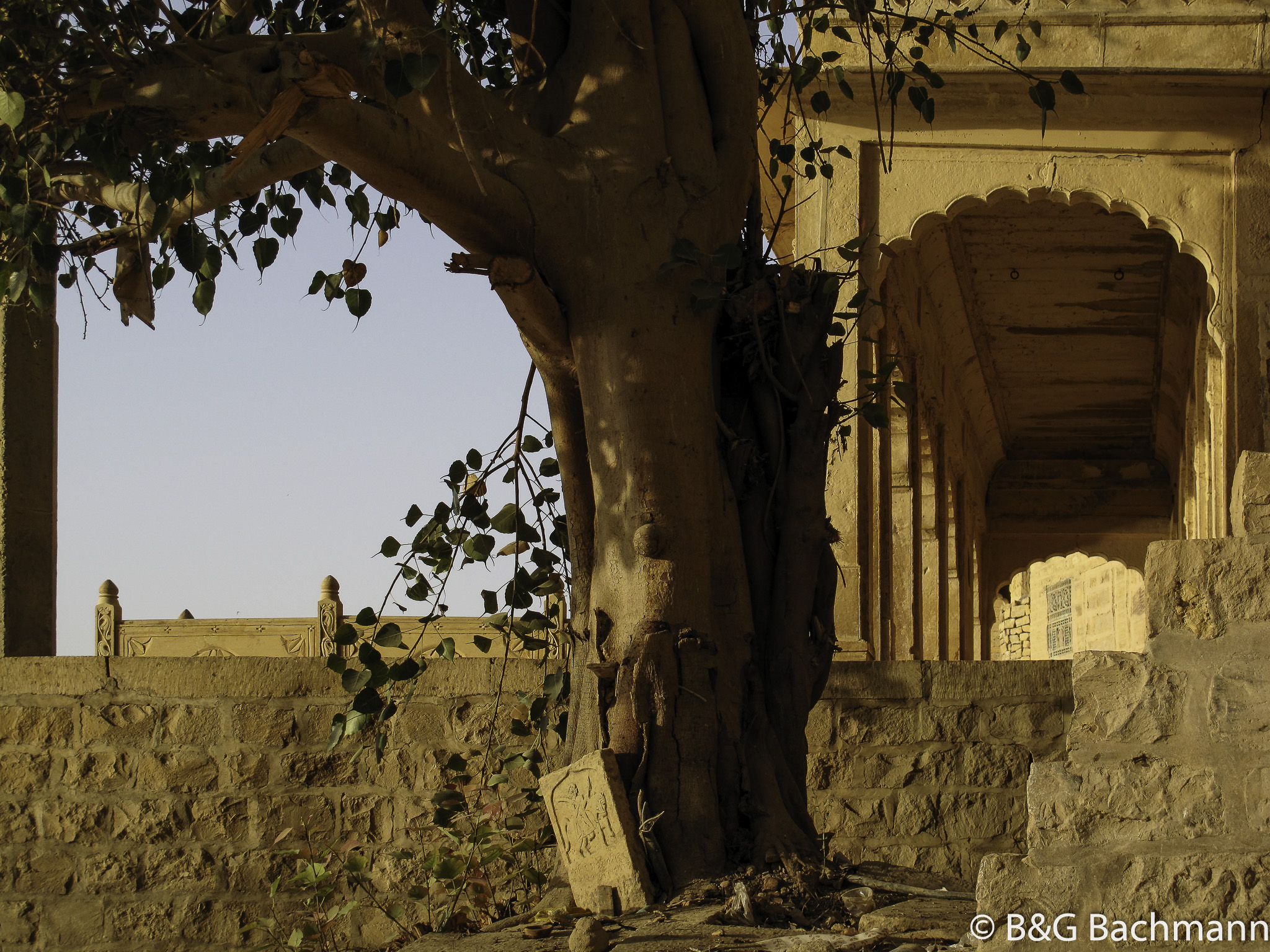 20100406_Jaisalmer_0681-Edit.jpg