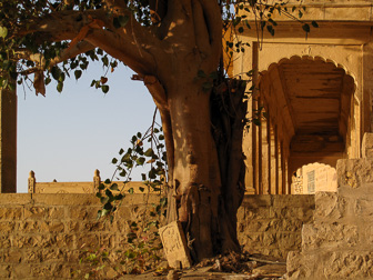 20100406_Jaisalmer_0681-Edit.jpg