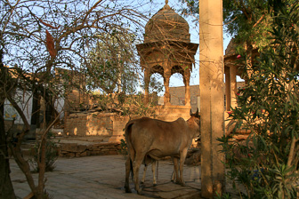 20100406_Jaisalmer_0698.jpg