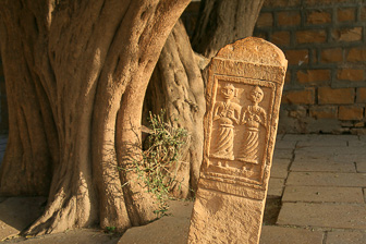20100406_Jaisalmer_0714.jpg