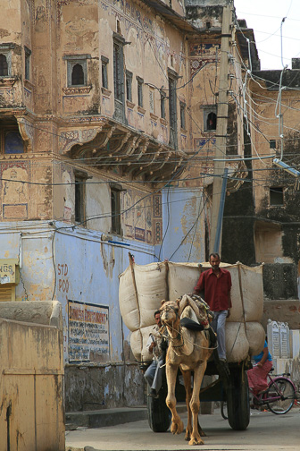 20100404_Mandawa_Shekhawati_Havelis_0043.jpg