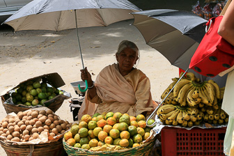 20100409_Udaipur_Pichola-Lake_Jojowar_1901.jpg