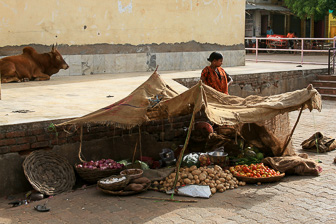 20100413_Orchha_Norias_2720.jpg