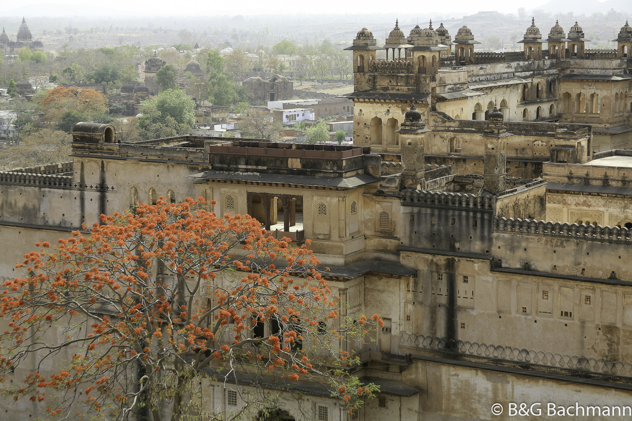 20100413_Orchha_Norias_2693.jpg