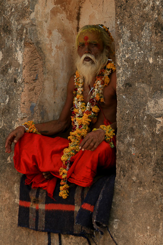 20100413_Orchha_Norias_2681.jpg