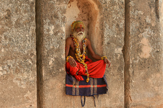 20100413_Orchha_Norias_2708.jpg