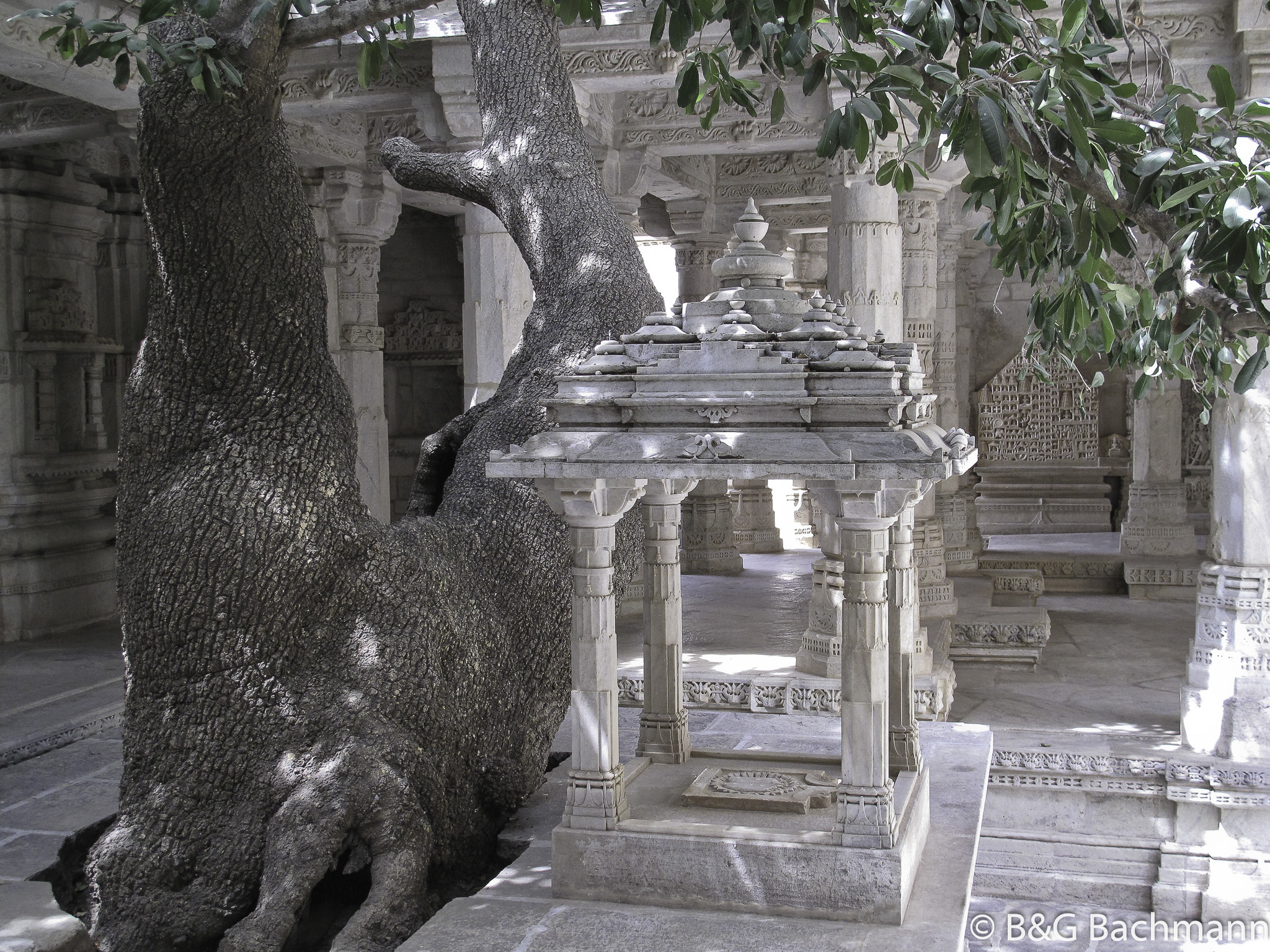 20100408_Ranakpur_Temples-Jain_1665.jpg