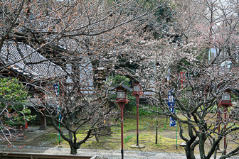 Tokyo Temple