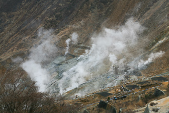 IMG_8443-7.jpg