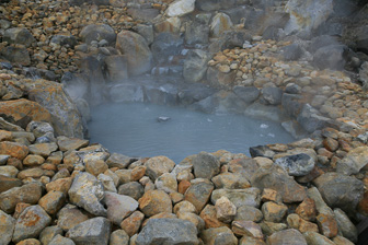 IMG_8444-8.jpg