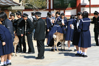 IMG_8975-56.jpg