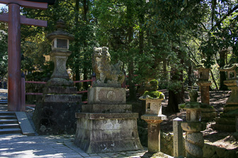 IMG_9064-169.jpg