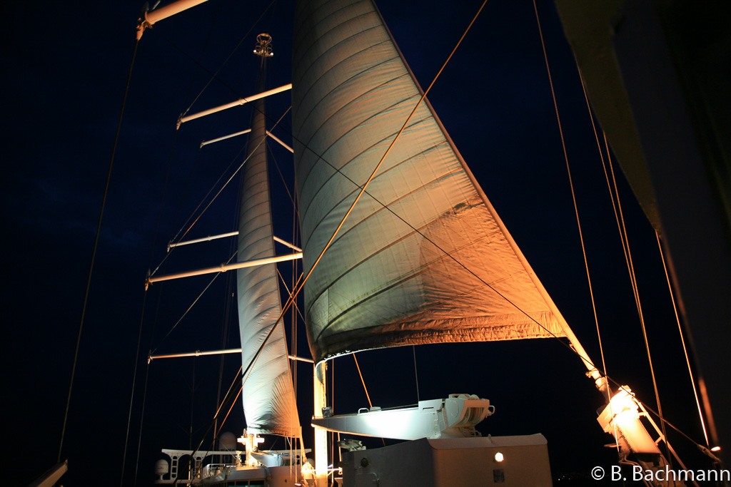 IMG_6447.jpg