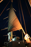 IMG_6442.jpg
