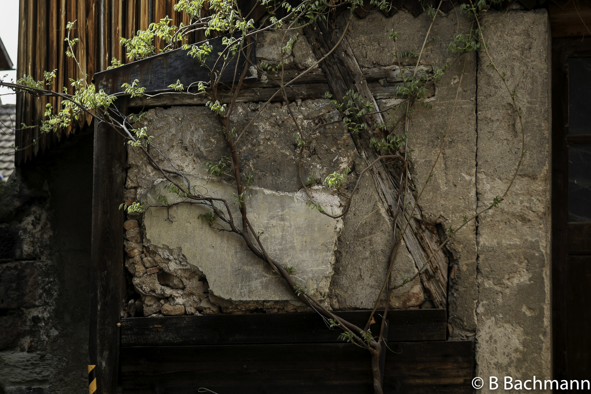 IMG_5475-Edit.jpg