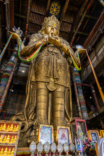 0W0A2601-Enhanced-NR.jpg