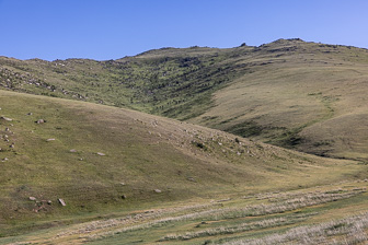 0W0A2653.jpg