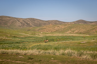 0W0A2657.jpg