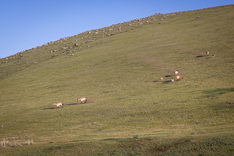0W0A2663.jpg