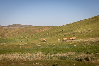 0W0A2666.jpg