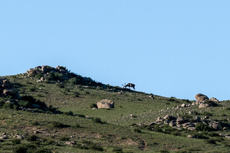 _1130440.jpg