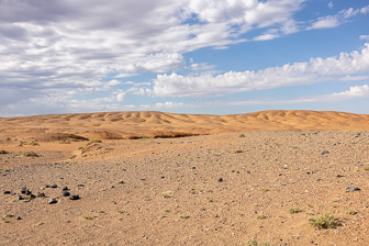 0W0A3556.jpg