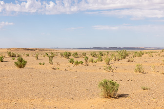 0W0A3562.jpg