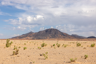 0W0A3563.jpg